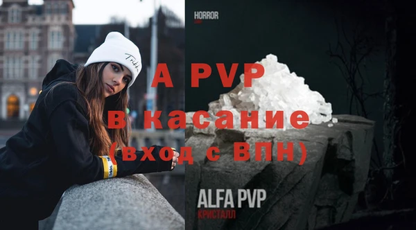 каннабис Новозыбков