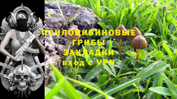каннабис Новозыбков