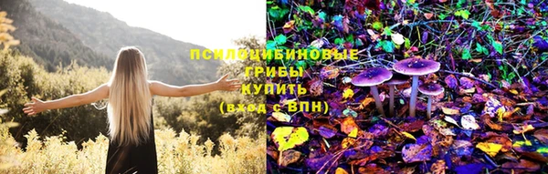 каннабис Новозыбков